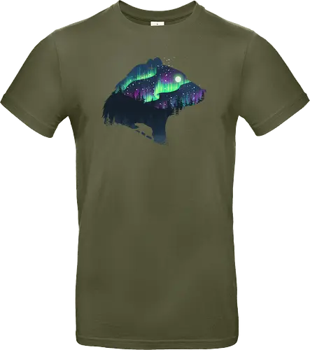 Northern Lights