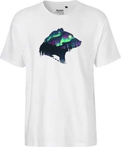 Northern Lights