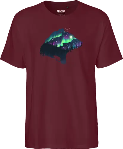 Northern Lights