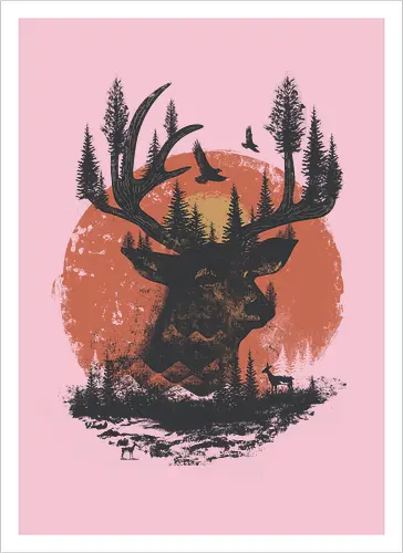 Deer
