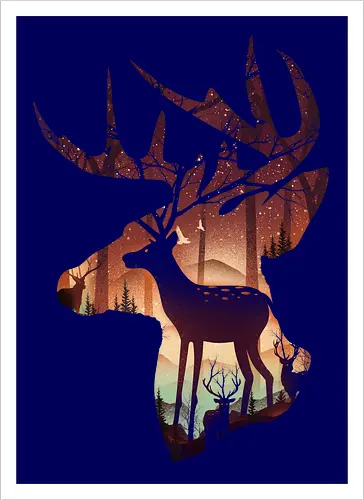 Deer in Forest