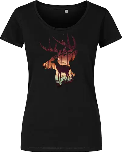 Deer in Forest