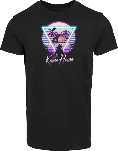 Visit Retro Kame House