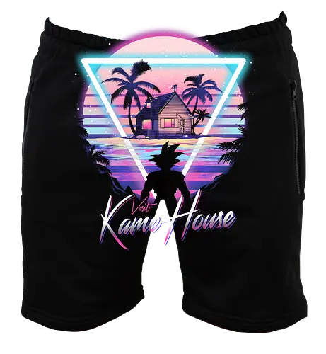 Visit Retro Kame House