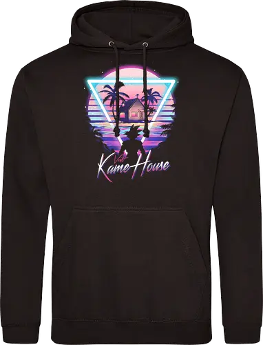 Visit Retro Kame House