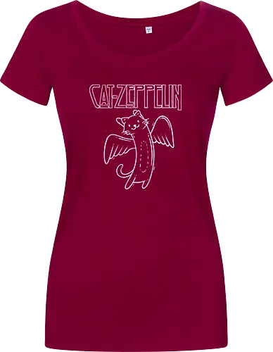 Cat Zeppelin