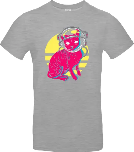 Space Cat