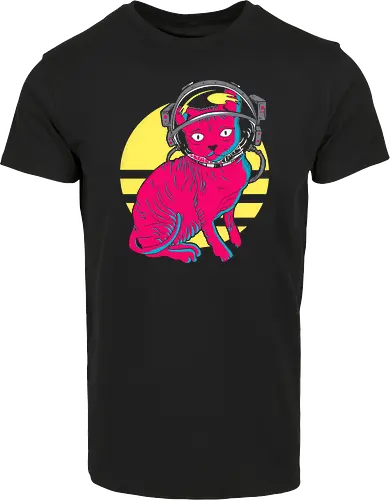 Space Cat