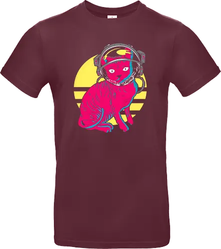 Space Cat