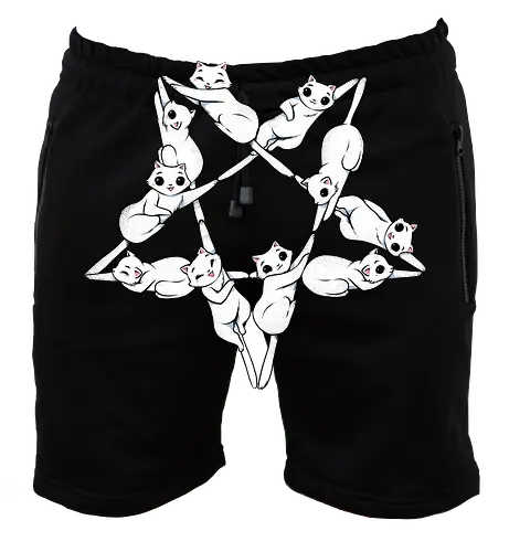 Where Cats go at Night