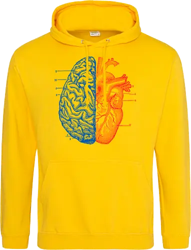 Heart and Brain