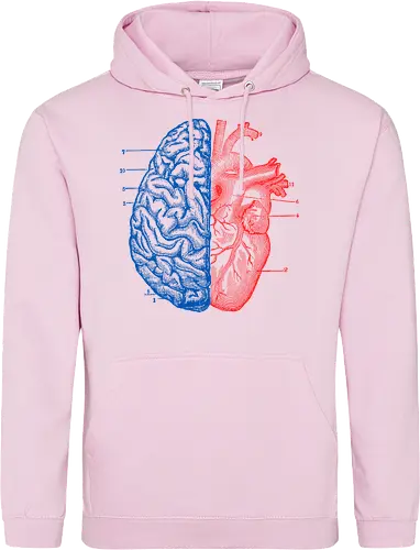 Heart and Brain