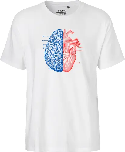 Heart and Brain