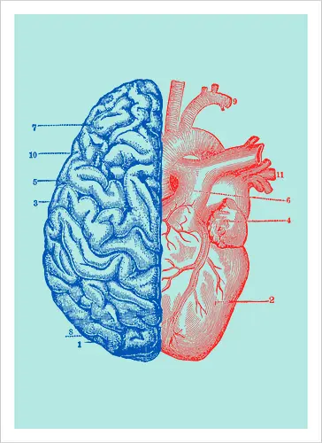Heart and Brain