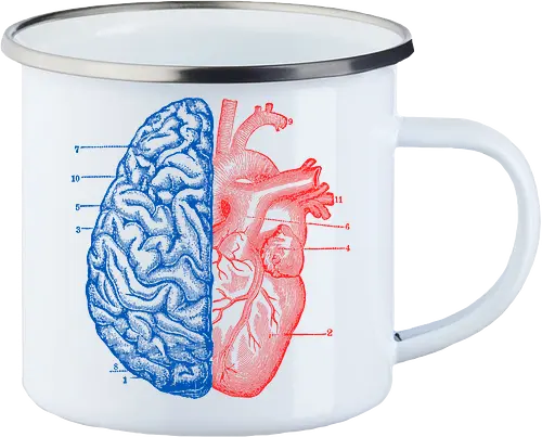 Heart and Brain