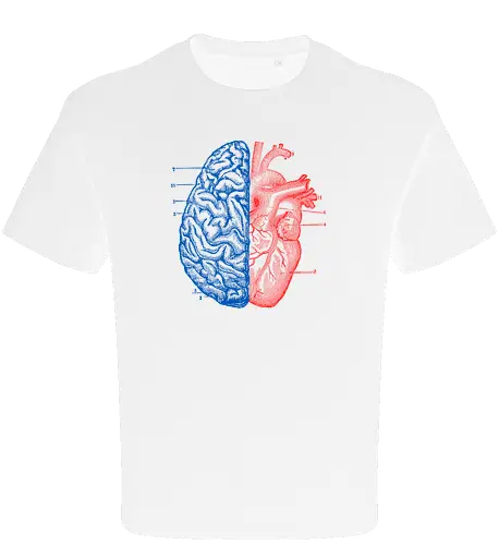 Heart and Brain