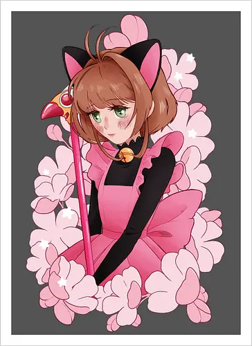 CatCaptor