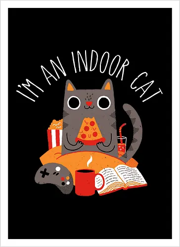 Indoor Cat