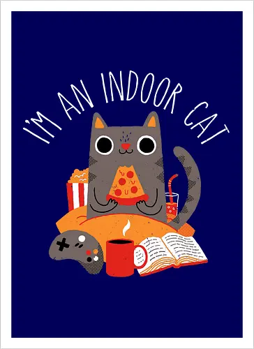 Indoor Cat