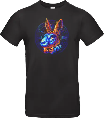 Colorful Rabbit