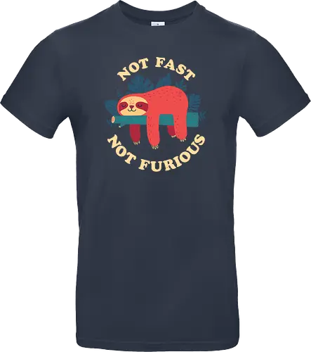 Not Fast Not Furious