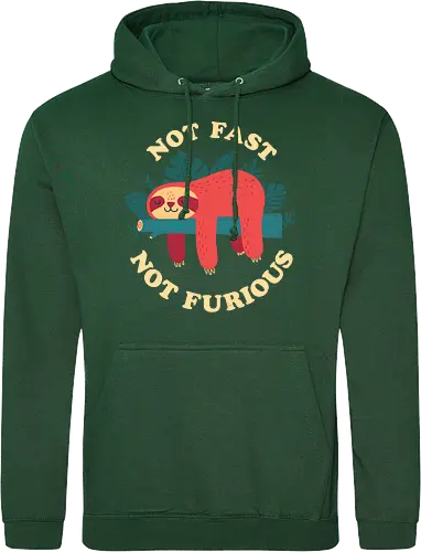 Not Fast Not Furious
