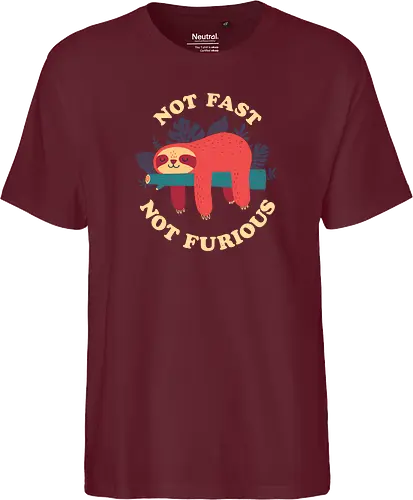 Not Fast Not Furious