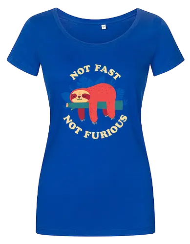 Not Fast Not Furious