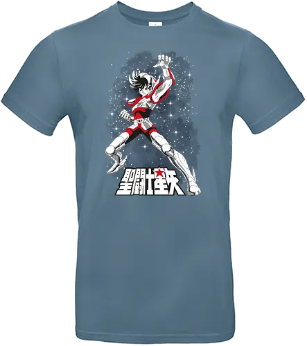 Pegasus - saint seiya, manga, anime, seiya, knights of the zodiac, saint, zodiac, ikki, hyoga, pegasus, cavaleiro, cavaleiros - Standard T-Shirt
