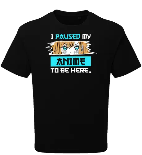 paused my anime for you