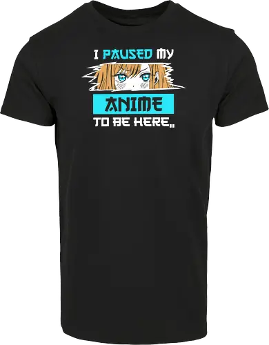 paused my anime for you