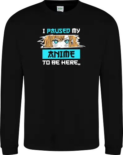 paused my anime for you