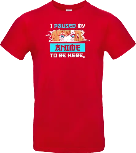 paused my anime for you