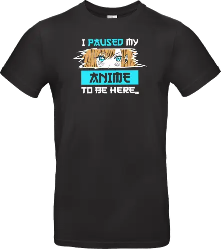 paused my anime for you