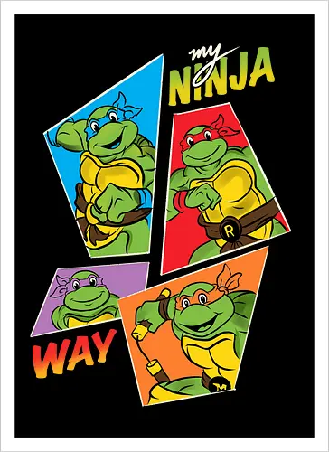My Ninja way
