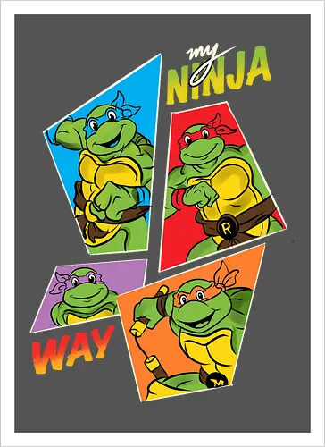 My Ninja way