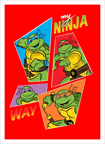 My Ninja way