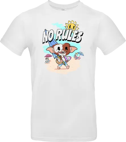 No Rules