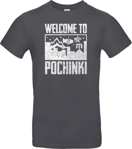 Welcome to Pochinki