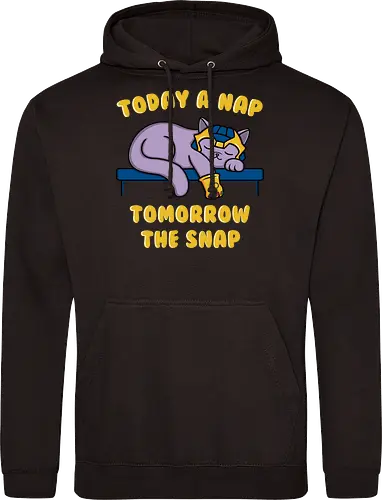 kitthanos - nap, Snap, cat, katze, nickerchen - Standard Hoodie