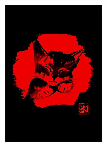 Cute Cat