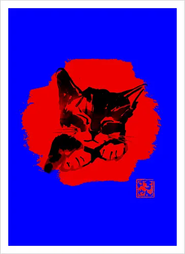 Cute Cat