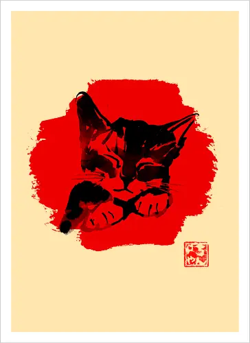 Cute Cat