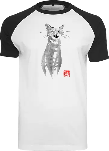 blinking cat