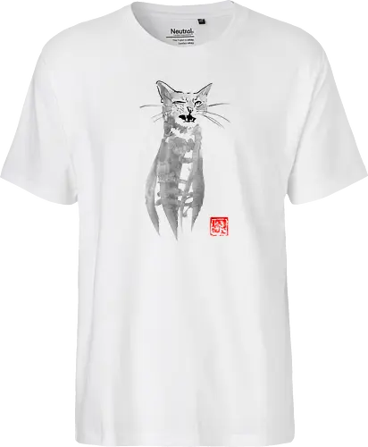 blinking cat