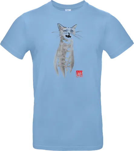 blinking cat