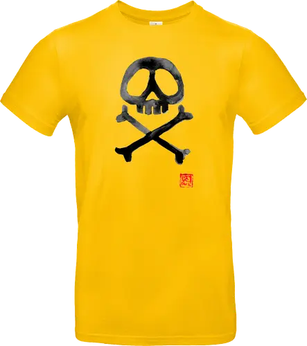 Space Pirate Flag