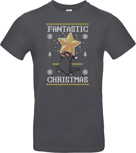 Fantastic Christmas!