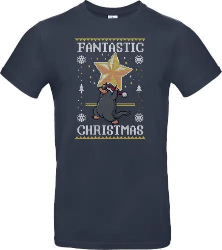 Fantastic Christmas!