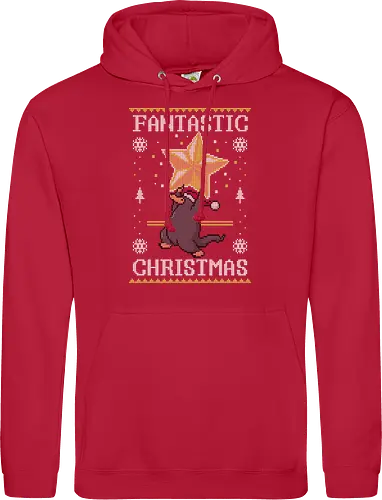 Fantastic Christmas!